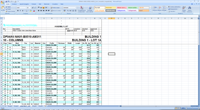 Bocad2Xls - risultato Excel